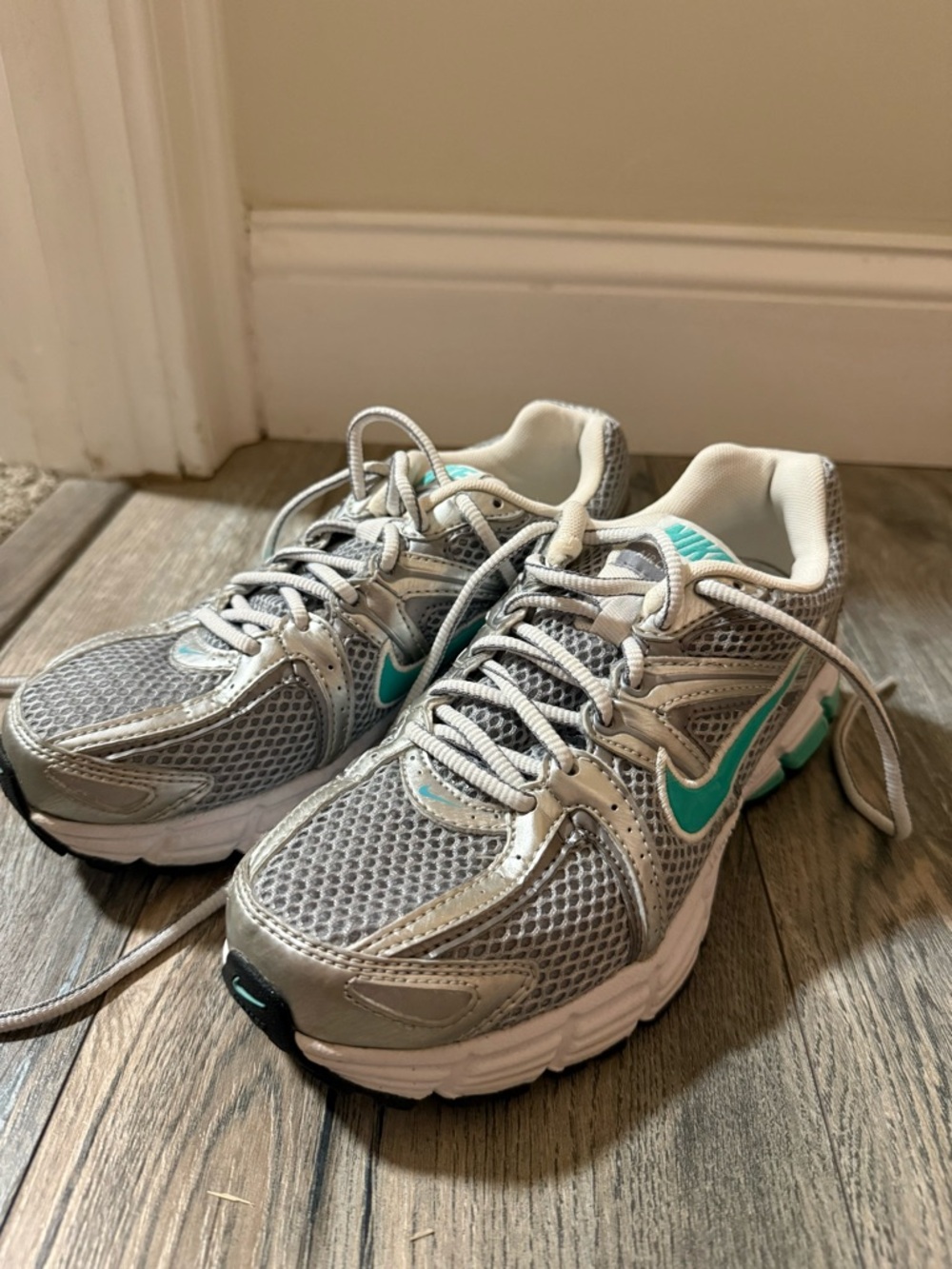 Nike Air Max Moto 2+ Sneakers Silver with Teal Swoosh